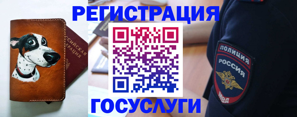 временная регистрация в квартире в Кандалакше